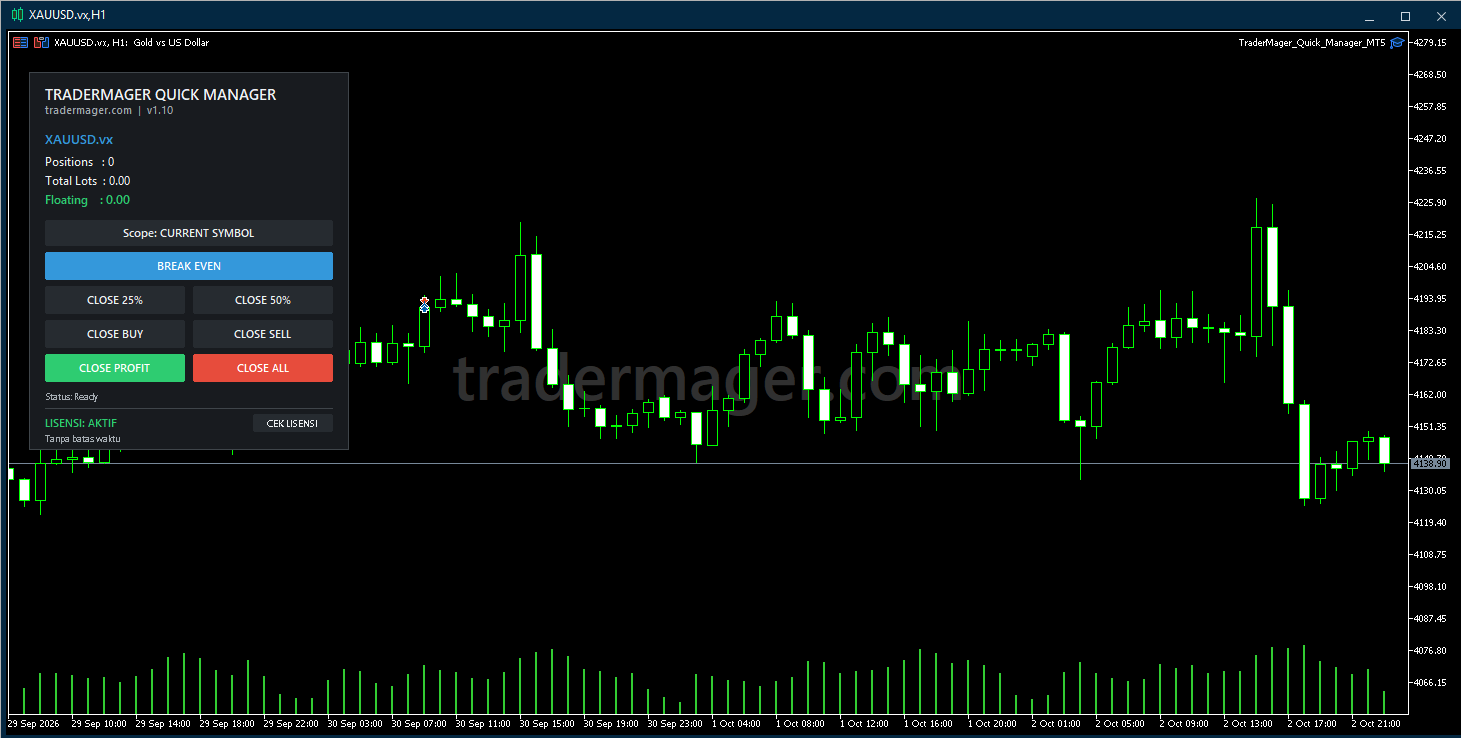 Tampilan Quick Manager MT5 di MetaTrader, gambar 1